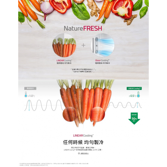 LG B232S13 變頻 雙門雪櫃